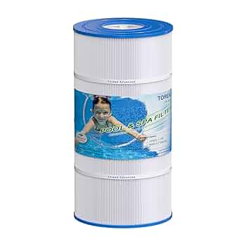 Amazon.com : TOREAD Replacement for Pool Filter PA90